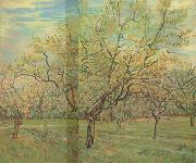 Vincent Van Gogh The White Orchard (nn04) Germany oil painting reproduction